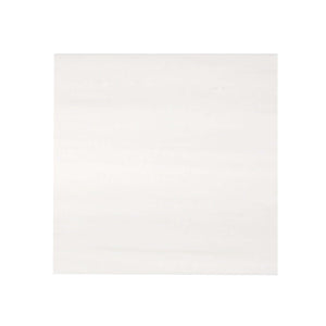 Bianco Dolomite Tile 12 x 12 Polished