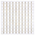 Aria Thassos White marble 1x1 mosaic sheet, studio image showing crisp bright-white small-format tiles with minimal movement in a clean grid for shower floors, niches, and accents.