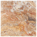Forum Terra Autumn Leaves (Scabos) travertine tile 6x6 filled and honed, studio image showing sun-baked creams, tans, and deeper earthy accents with a smoother filled surface and rich natural variation for warm floors, showers, and welcoming interiors.