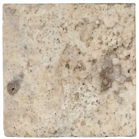 Forum Terra Grigio silver travertine tile 12x12 tumbled, studio image showing cool gray tones with natural pores, softened edges, and subtle variation for modern floors, shower walls, and timeless interiors.