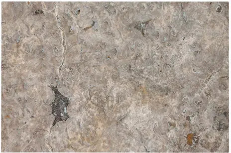 Forum Terra Grigio silver travertine tile 16x24 tumbled, studio image showing cool gray tones with natural pores, softened edges, and subtle variation for modern floors, entryways, and spa-style bathrooms.