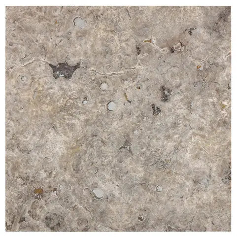 Forum Terra Grigio silver travertine tile 18x18 filled and honed, studio image showing cool gray tones with a smoother filled surface, subtle pore character, and natural variation for modern floors, bathrooms, and clean-lined interiors.