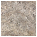 Forum Terra Grigio silver travertine tile 4x4 filled and honed, studio image showing cool gray tones with a smoother filled surface, subtle pore character, and natural variation for modern backsplashes, showers, and clean-lined interiors.