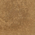 Forum Terra Umber travertine tile 12x12 honed and filled, studio image showing rich warm brown tone with a smoother filled surface, subtle pore character, and natural variation for floors, shower walls, and classic accents.