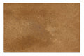 Terra Umber noce travertine tile 16x24, honed and filled, single tile close-up