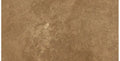 Forum Terra Umber travertine subway tile 3x6 honed and filled, studio image showing rich warm brown tone with a smoother filled surface, subtle pore character, and natural variation for backsplashes, shower walls, and classic accents.