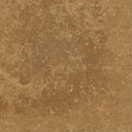 Forum Terra Umber travertine tile 4x4 honed and filled, studio image showing rich warm brown tone with a smoother filled surface, subtle pore character, and natural variation for floors, shower walls, and classic accents.