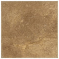 Forum Terra Umber travertine tile 6x6 honed and filled, studio image showing rich warm brown tone with a smoother filled surface, subtle pore character, and natural variation for floors, shower walls, and classic accents.