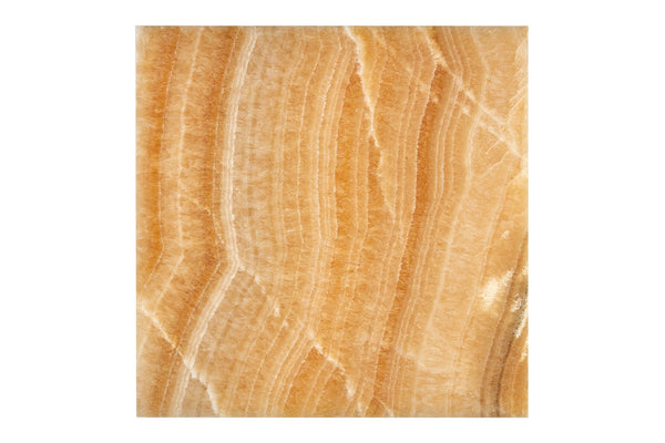 Opalus Honey onyx tile 12x12 polished, studio image with warm honey-gold banding, layered movement, and natural translucency with unique face variation.